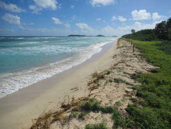 Tobago Cays