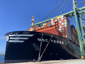 MSC Tessa в порту Синиш