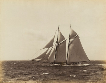 Coronet под парусами, 1893
